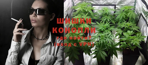 трава Сатка