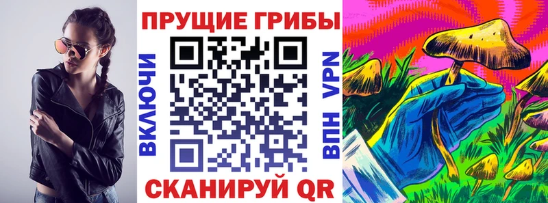 Псилоцибиновые грибы прущие грибы  Ленск 
